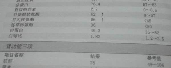 尿酸最新正常值及其对人体健康的影响解析