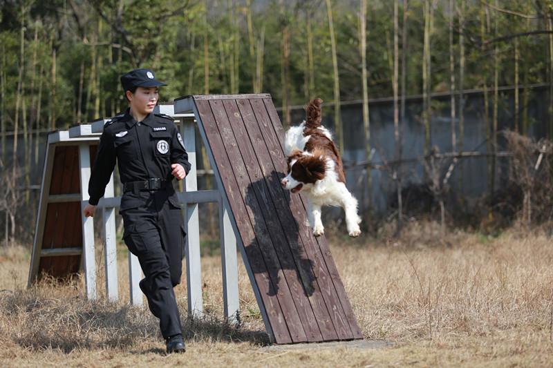 警花与警犬，热血女警与忠诚伙伴的探案冒险全集下载