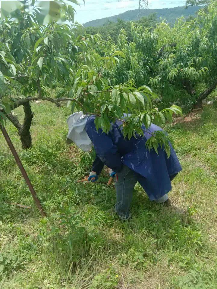 句容大卓地区最新发展动态概述