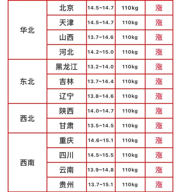 猪市最新动态，价格、影响因素及未来趋势深度解析