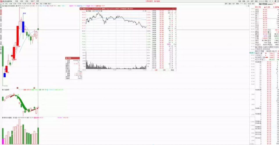 香港今晚特马,深度解答解释定义_豪华版81.318