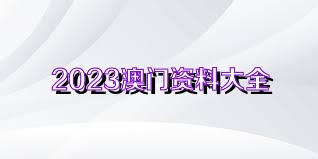 2023澳门天天正版资料,创新性方案解析_粉丝版62.338