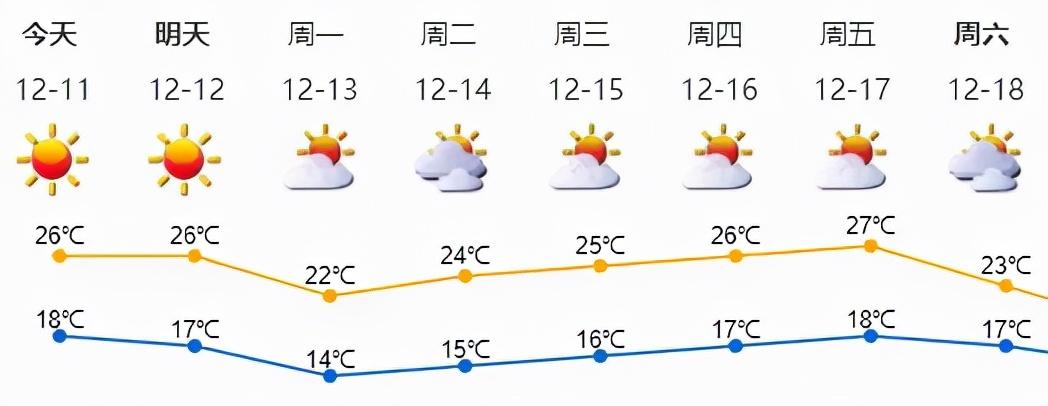 2024年12月5日 第7页