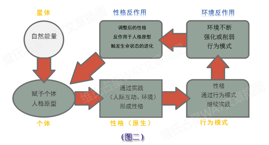 2024新澳精准,完善的执行机制解析_MT80.150