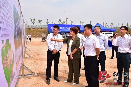 雨湖区科技局最新项目进展深度剖析报告