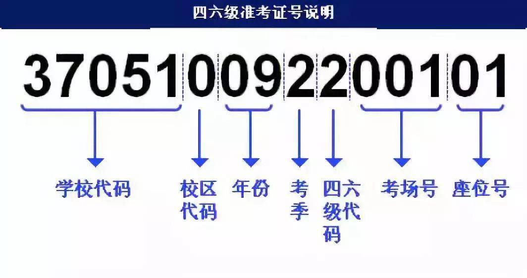 管家婆一码一肖一种大全,实地策略验证计划_经典款12.911