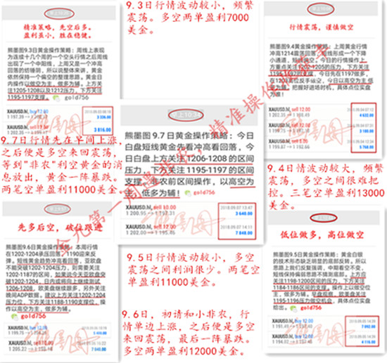 新奥天天精准资料大全,实用性执行策略讲解_4K版87.323