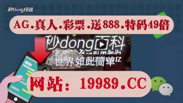 2024年新澳门天天开奖免费查询,迅速响应问题解决_挑战版41.393