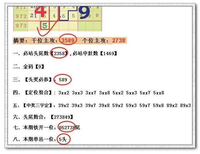 香港特马资料王中王,深入数据解析策略_入门版97.886