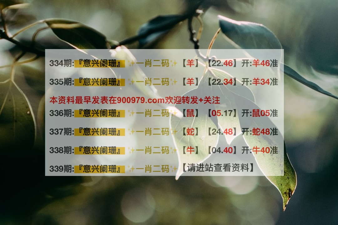 新澳门内部码10码网站,最新核心解答定义_精装款51.585