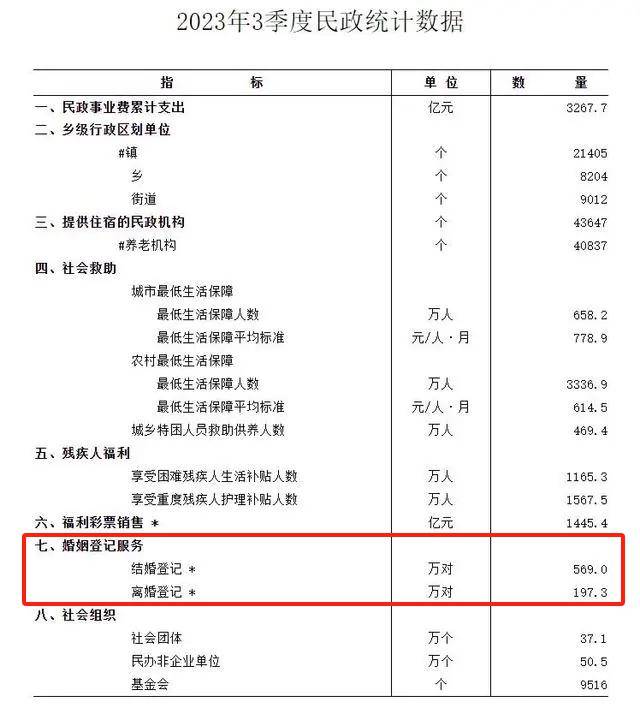 一码一肖一特一中2024,实际案例解析说明_Z27.902