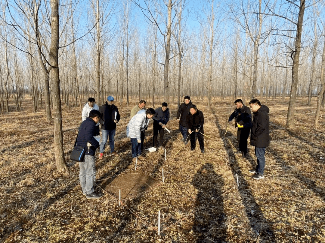 新澳门六开奖结果今天,实地验证分析_动态版90.897