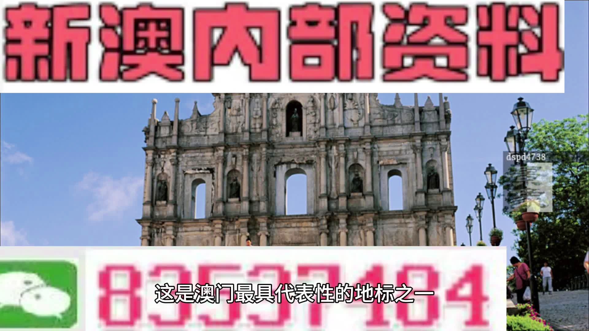 2004澳门正板资料,决策资料解释落实_粉丝版335.372