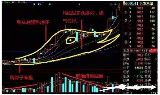 澳彩精准资料免费长期公开,高效设计实施策略_复刻款96.918