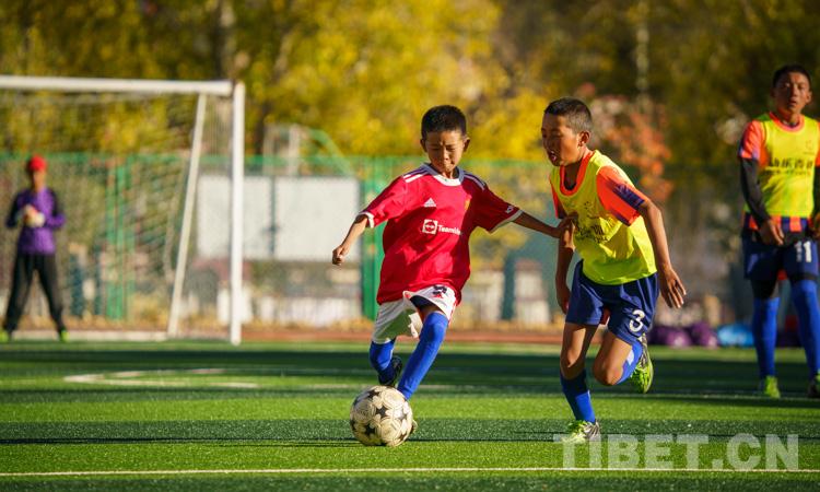 曲水县小学领导团队引领未来，塑造明日之星之光