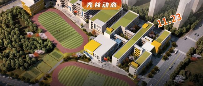 花山区小学未来教育蓝图，最新发展规划揭秘