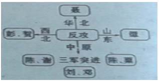 2024新澳门今天晚上开什么生肖,状况分析解析说明_C版96.724