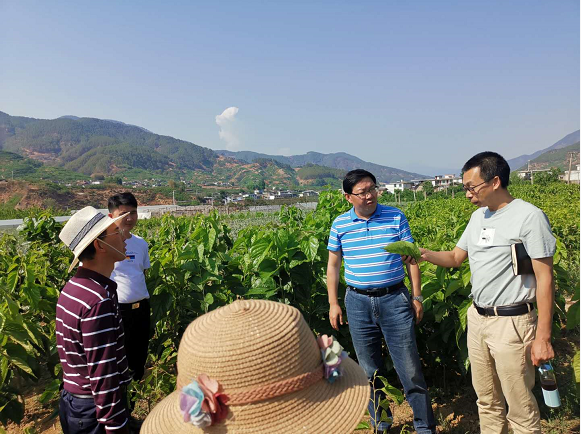 砚山县农业农村局新项目推动农业现代化，乡村振兴再添动力