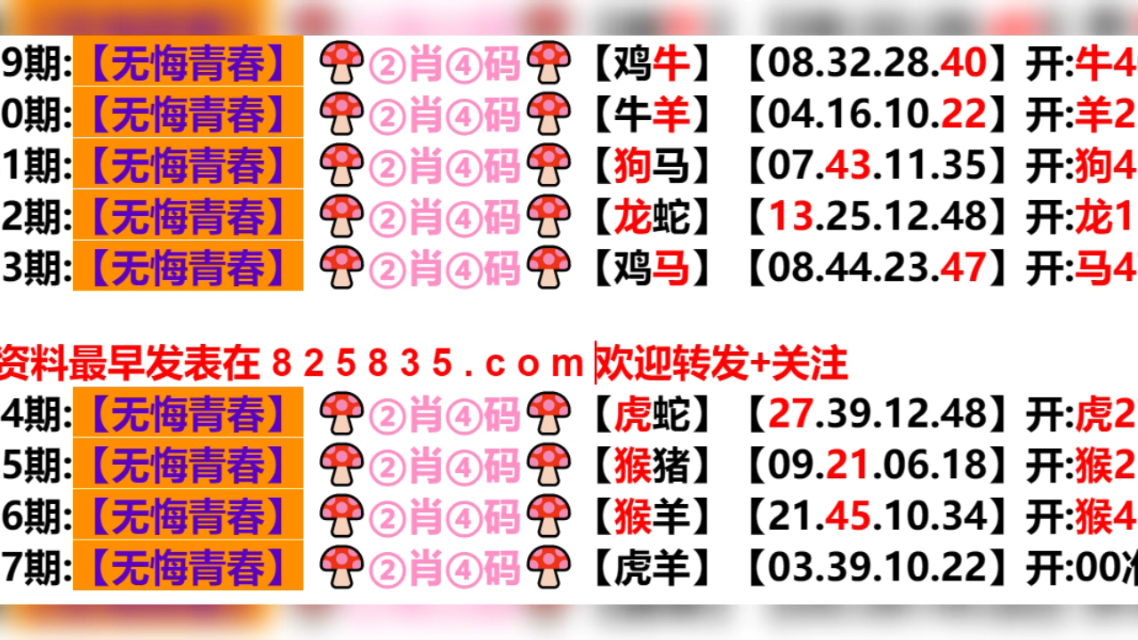 2024新奥门天天开好彩大全85期,深度解答解释定义_顶级款77.98.71