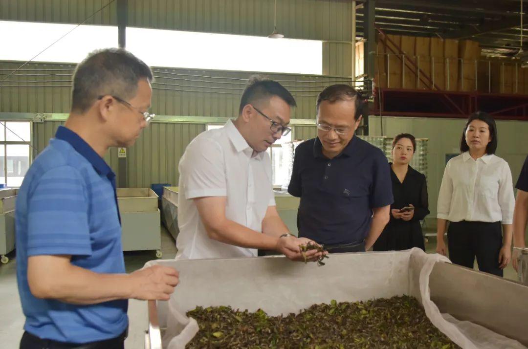 印江土家族苗族自治县文化广电体育和旅游局最新动态速递