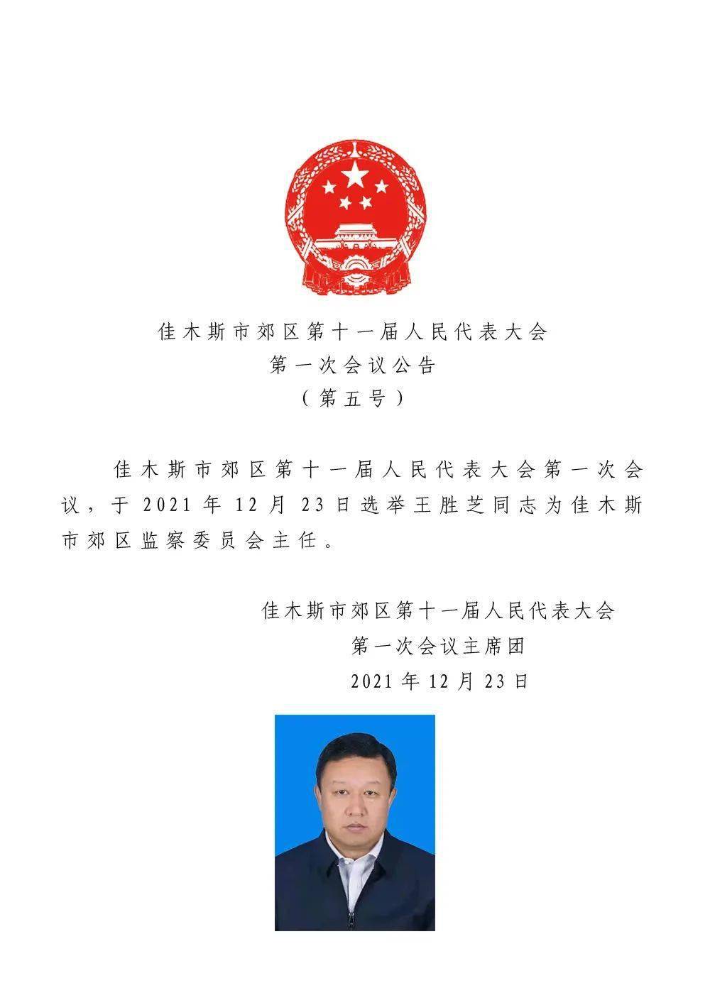 乌伊岭区数据和政务服务局最新人事任命动态解析