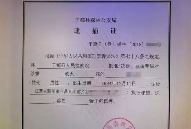 于都县防疫检疫站最新人事任命，推动防疫工作再上新台阶