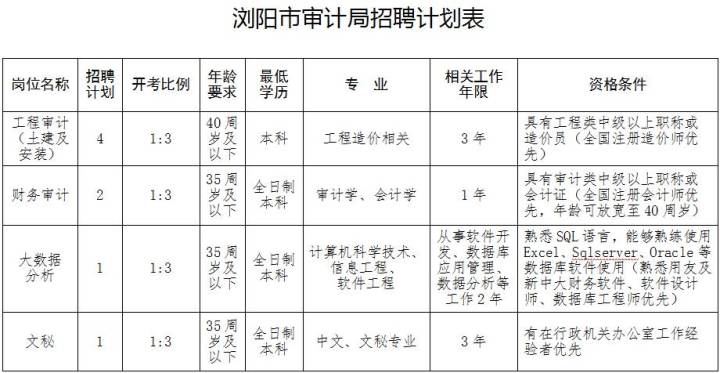 当阳市审计局最新招聘信息