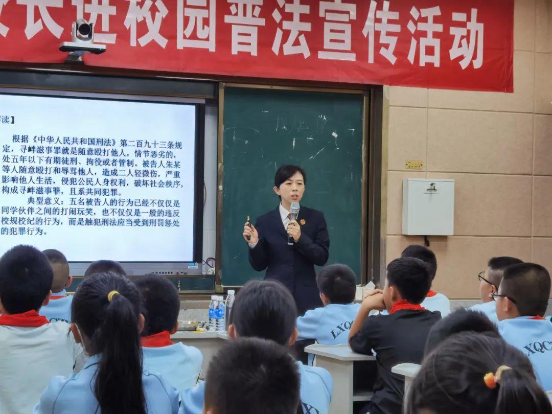 临翔区小学未来教育蓝图，最新发展规划揭秘