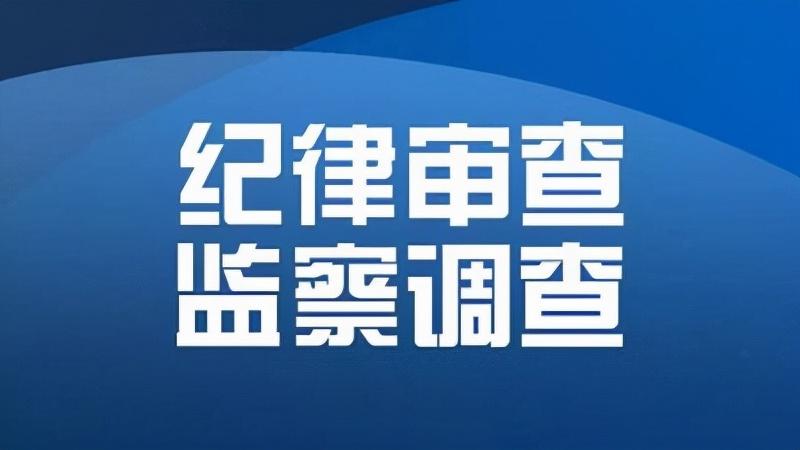 灌南县审计局最新招聘信息概览