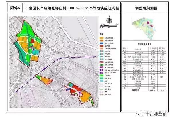 洮北区数据与政务服务局数字化发展规划，构建未来之路