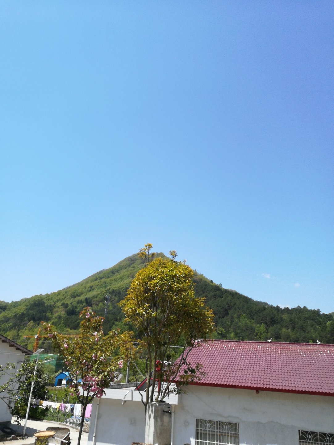 张湾乡天气预报更新通知