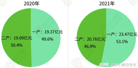 察雅县数据与政务服务局发展规划展望