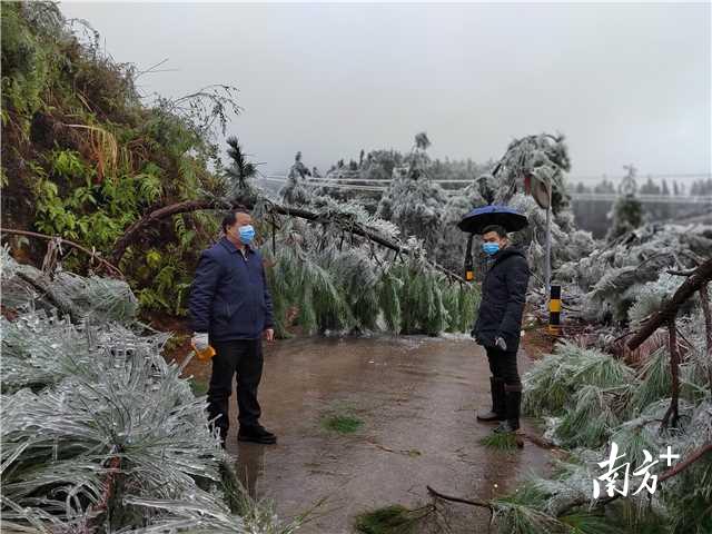 连南瑶族自治县特殊教育事业单位最新动态及进展概述