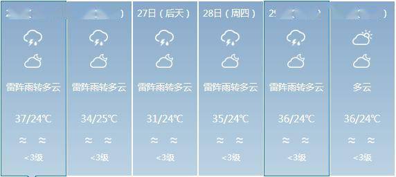 肖家坊镇最新天气预报