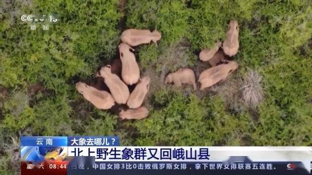 肖一巷社区天气预报更新通知