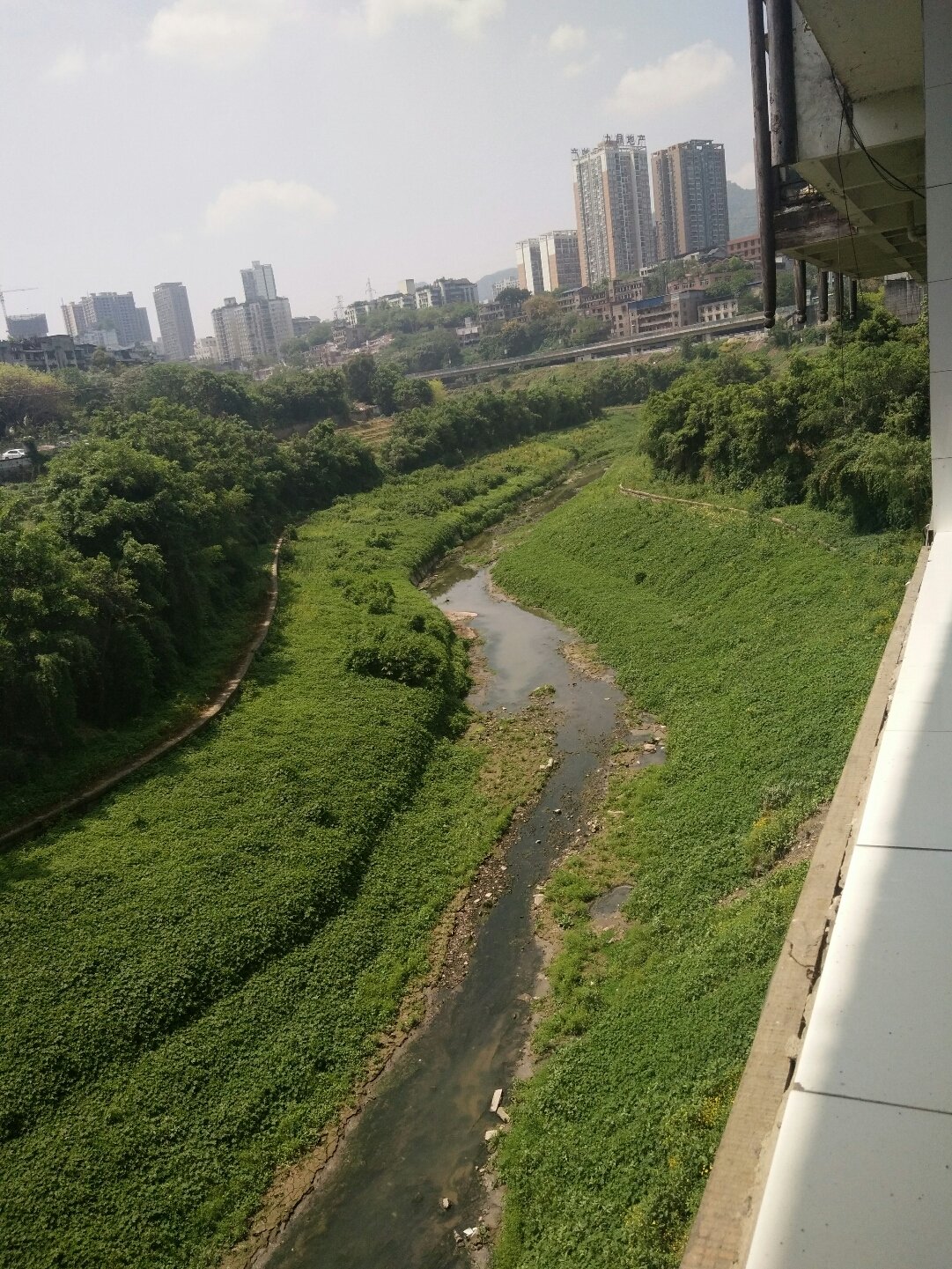 童家桥街道最新天气预报