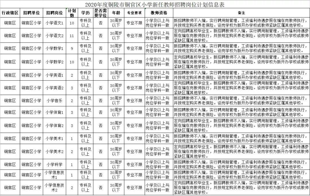 铜陵县小学最新招聘公告概览